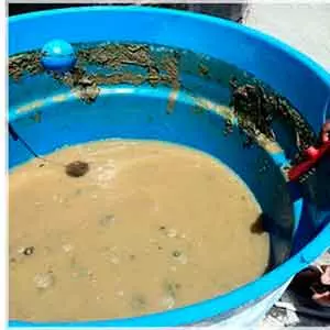 Oferecemos Limpeza de caixa de água em São José do Rio Preto