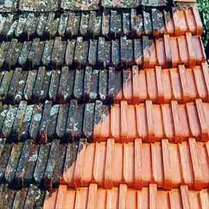 Áreas De Atuação da Limpeza de caixa de água em São José do Rio Preto